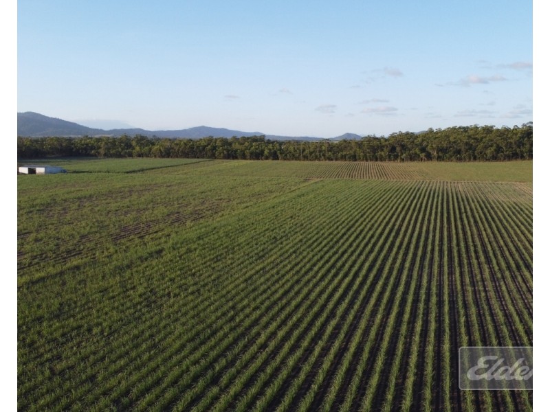 Lot 1 Formosa Road, Silkwood QLD 4856