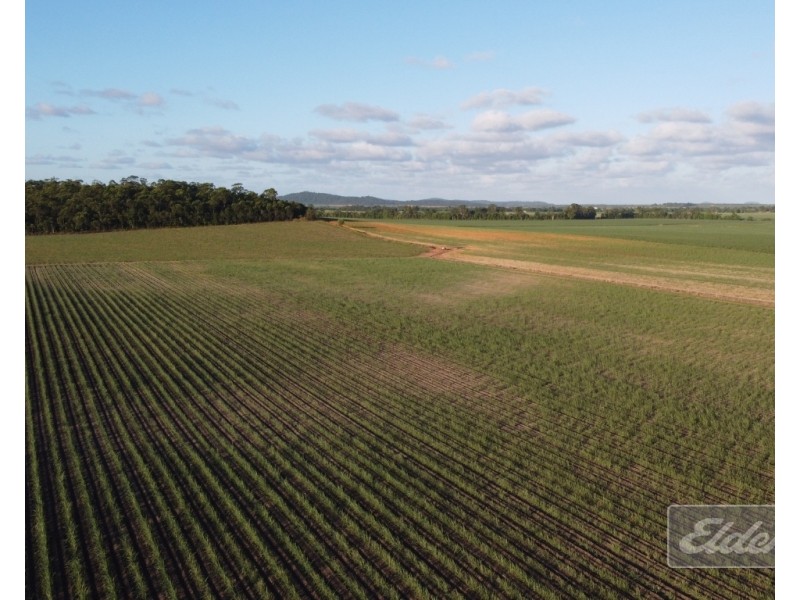 Lot 1 Formosa Road, Silkwood QLD 4856