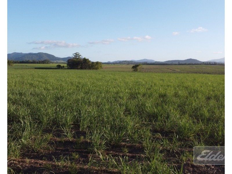 Lot 1 Formosa Road, Silkwood QLD 4856