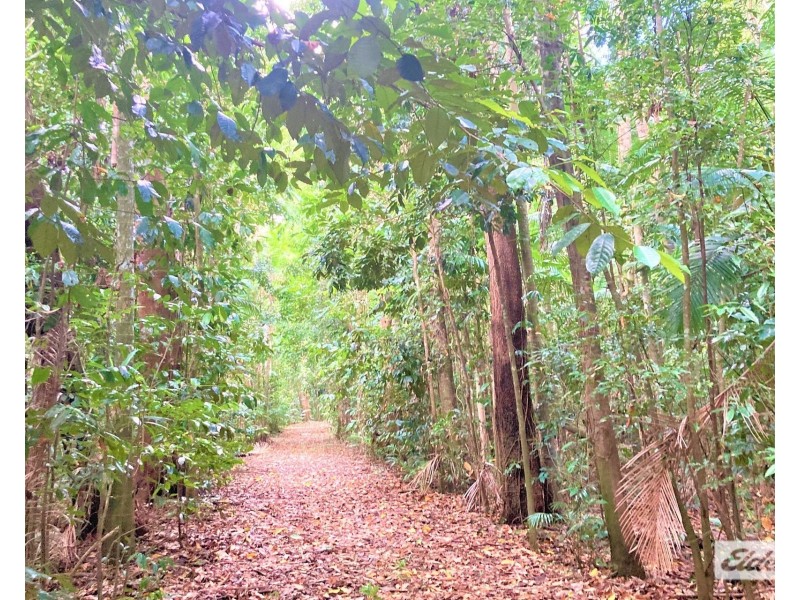 526 Davidson Road, Tully QLD 4854