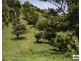 Lot 1 Irvine Road, Chatsworth QLD 4570