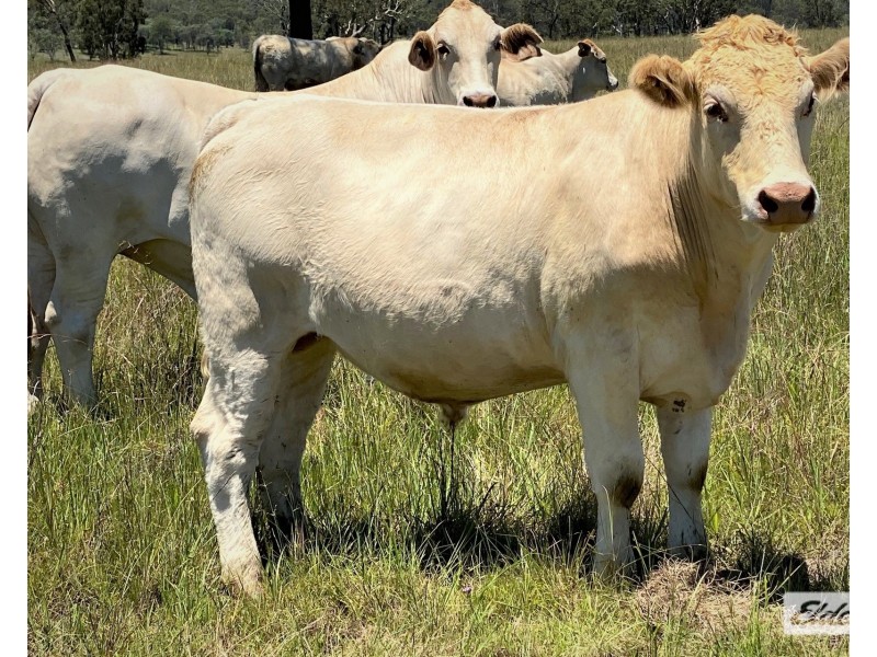 Lot 3,  Silver Perch Road, Goomeri QLD 4601