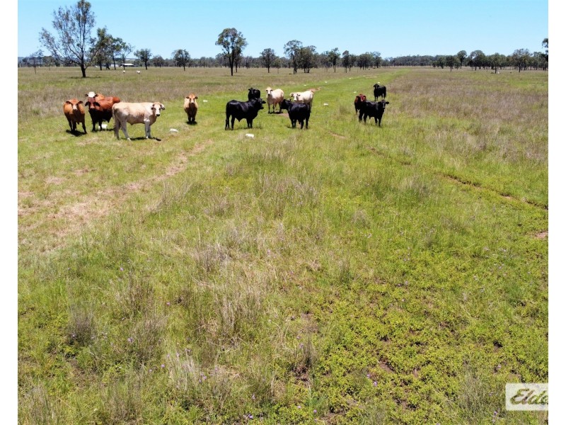 Lot 3,  Silver Perch Road, Goomeri QLD 4601