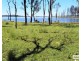Lot 3,  Silver Perch Road, Goomeri QLD 4601