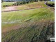 Lot 21,  Jack Drive, Feluga QLD 4854