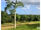 Lot 9 Valley View Court, Jones Hill QLD 4570