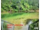 Lot 37,  Jack Drive, Feluga QLD 4854