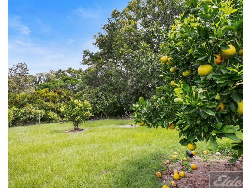 8 Larner Street, Tiaro QLD 4650