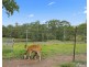8 Andrew Road, Woolooga QLD 4570