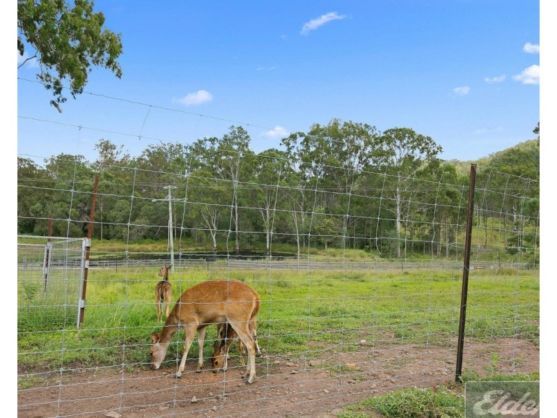 8 Andrew Road, Woolooga QLD 4570