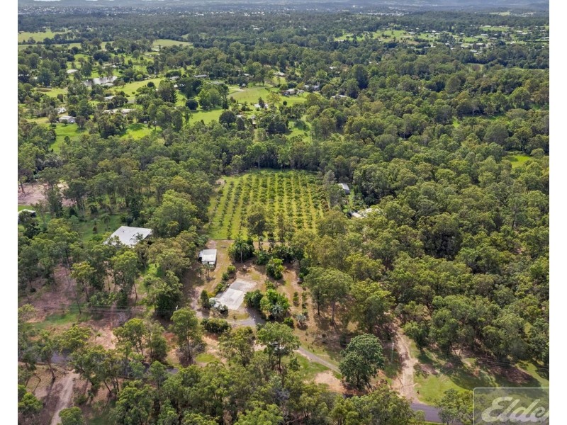 46 Herron Road, Pie Creek QLD 4570