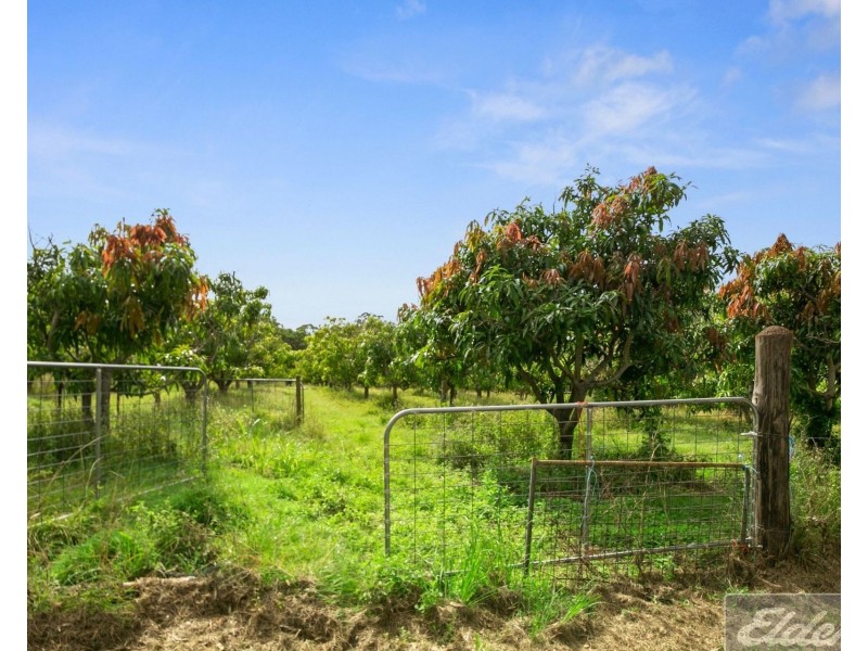 46 Herron Road, Pie Creek QLD 4570