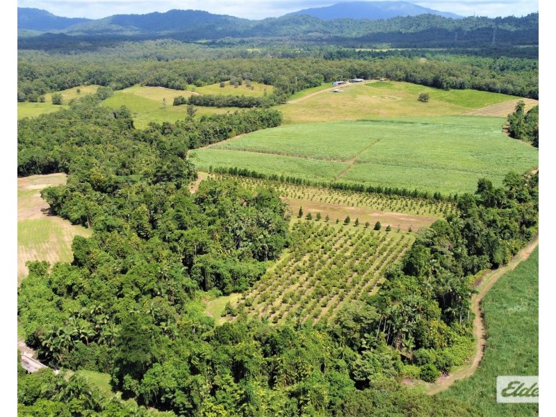 568 Granadilla Road, Granadilla QLD 4855