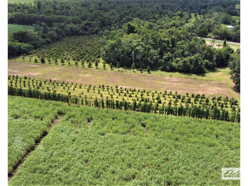 568 Granadilla Road, Granadilla QLD 4855