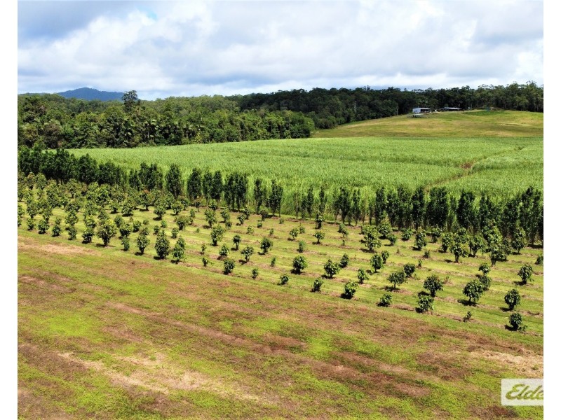 568 Granadilla Road, Granadilla QLD 4855