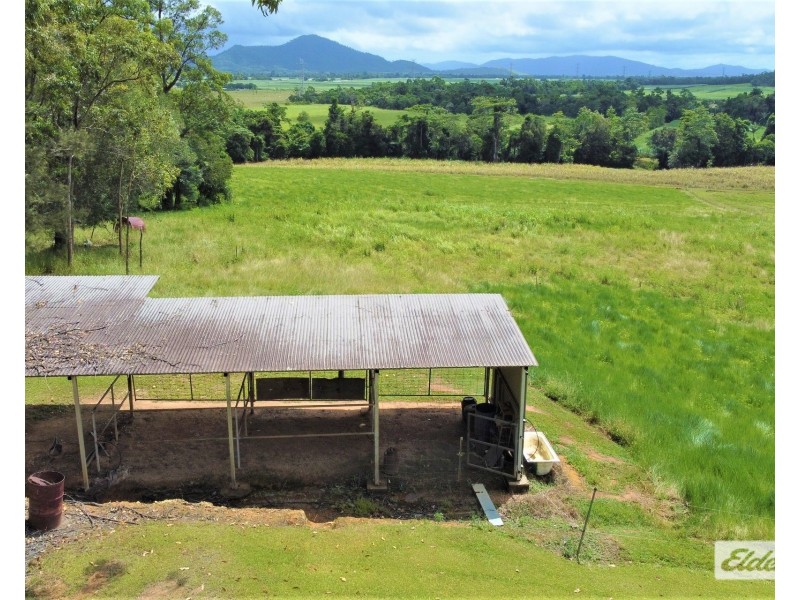 568 Granadilla Road, Granadilla QLD 4855