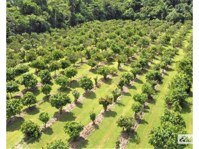 568 Granadilla Road, Granadilla QLD 4855