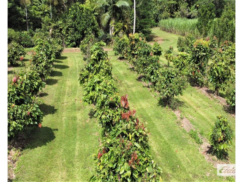 568 Granadilla Road, Granadilla QLD 4855