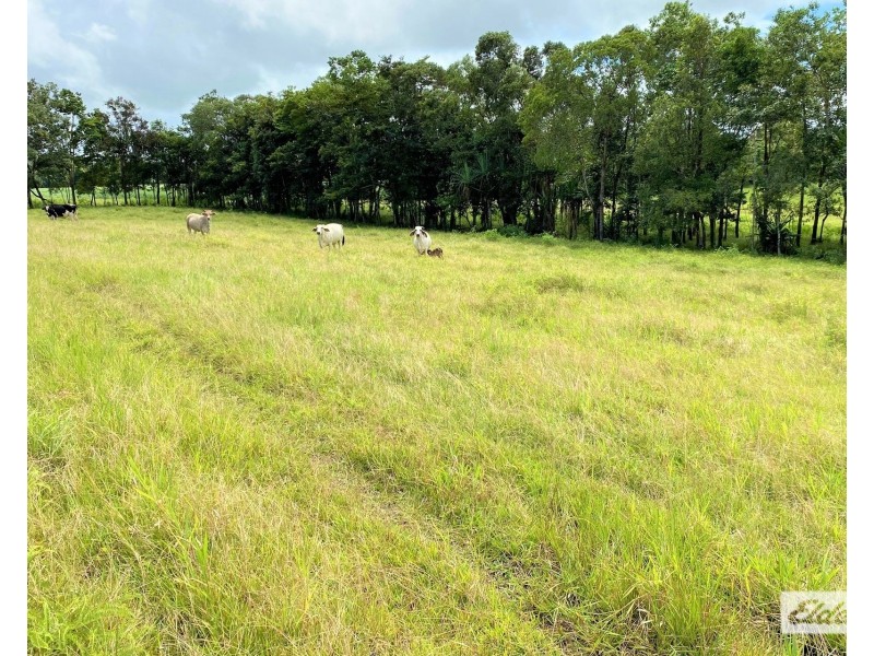 568 Granadilla Road, Granadilla QLD 4855