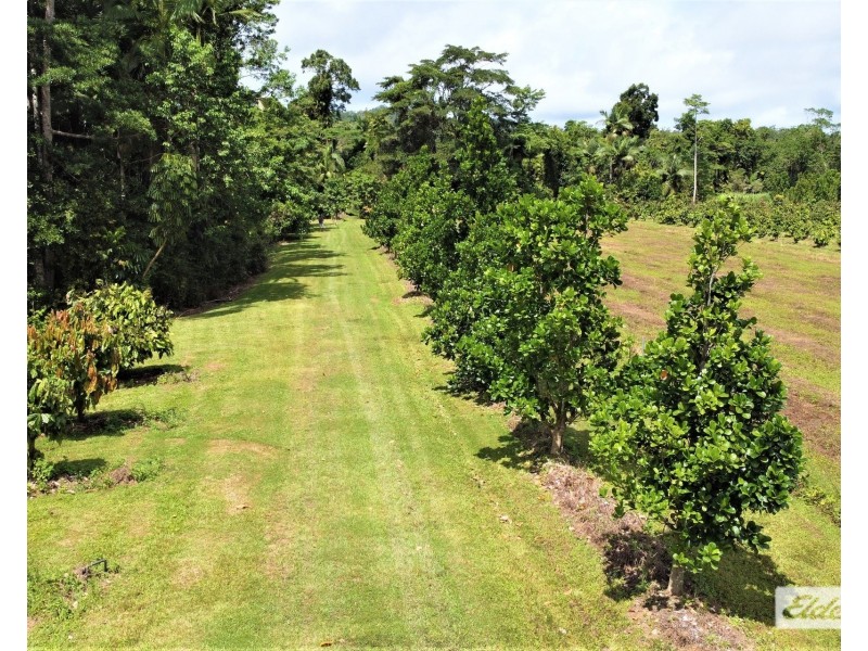 568 Granadilla Road, Granadilla QLD 4855