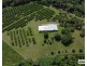 421 Bingil Bay Road, Bingil Bay QLD 4852