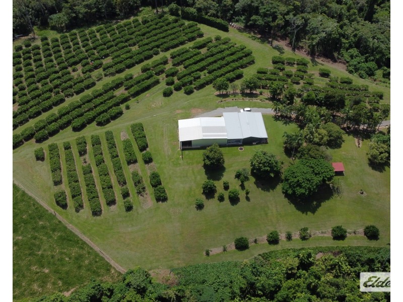 421 Bingil Bay Road, Bingil Bay QLD 4852