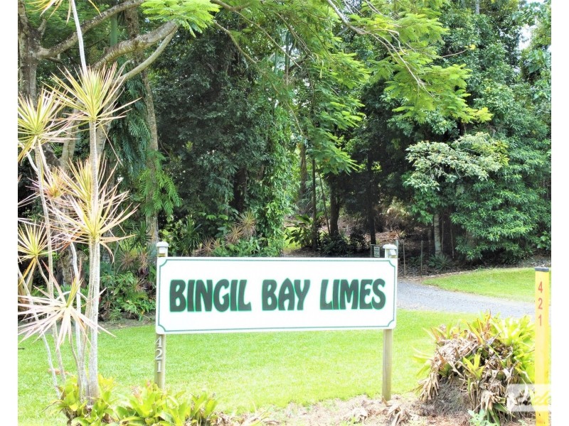 421 Bingil Bay Road, Bingil Bay QLD 4852
