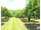 421 Bingil Bay Road, Bingil Bay QLD 4852