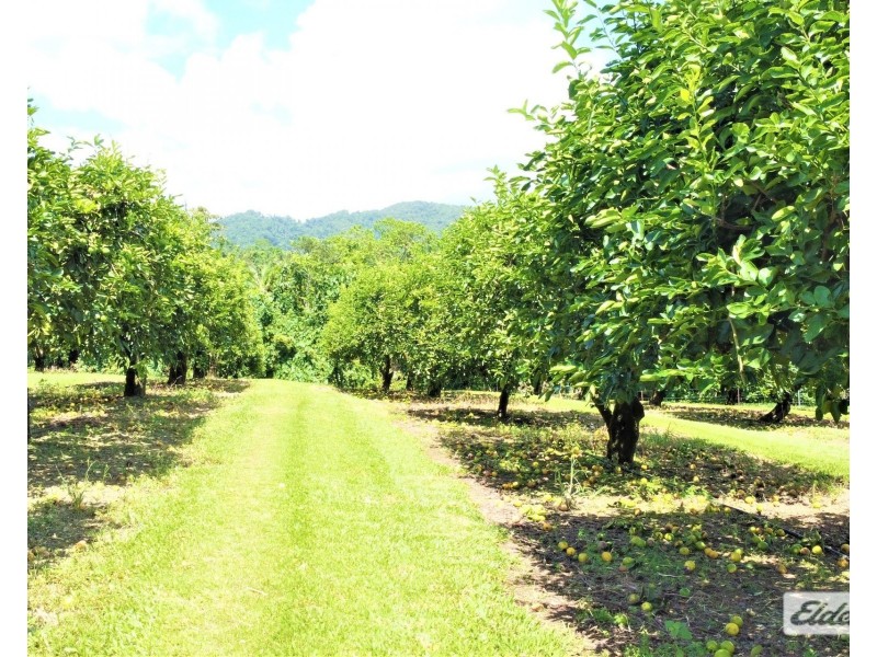 421 Bingil Bay Road, Bingil Bay QLD 4852