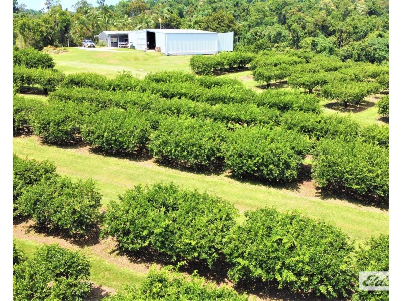 421 Bingil Bay Road, Bingil Bay QLD 4852