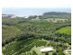 421 Bingil Bay Road, Bingil Bay QLD 4852