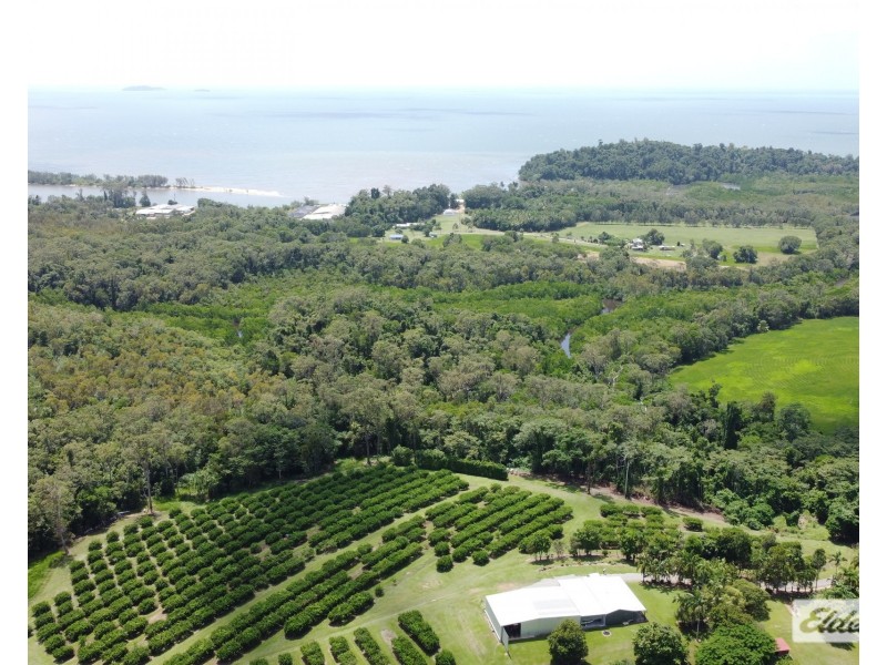 421 Bingil Bay Road, Bingil Bay QLD 4852