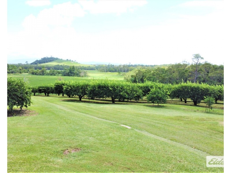 421 Bingil Bay Road, Bingil Bay QLD 4852