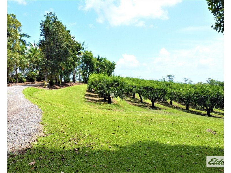 421 Bingil Bay Road, Bingil Bay QLD 4852
