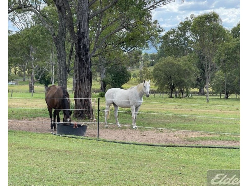 526 Abel Road, Lower Wonga QLD 4570