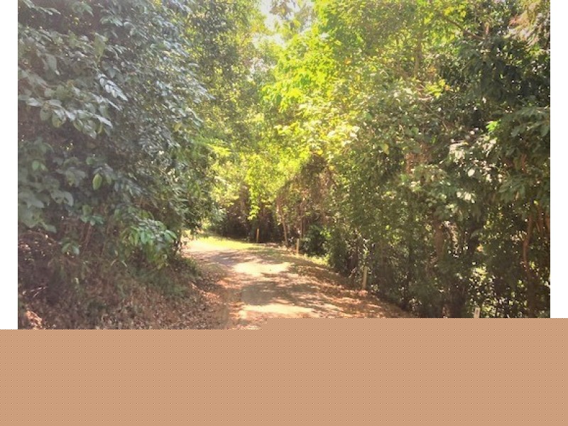 Lot 62 Mission Circle, Wongaling Beach QLD 4852