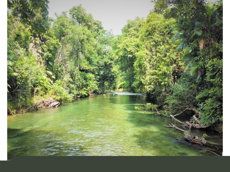 33 Thomas Court, Bulgun QLD 4854