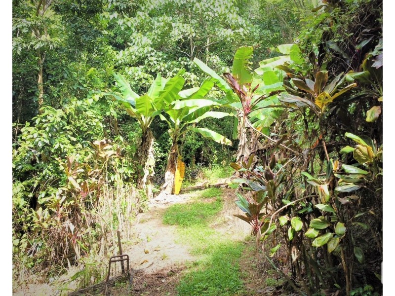 33 Thomas Court, Bulgun QLD 4854