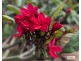 Glen Echo QLD 4570