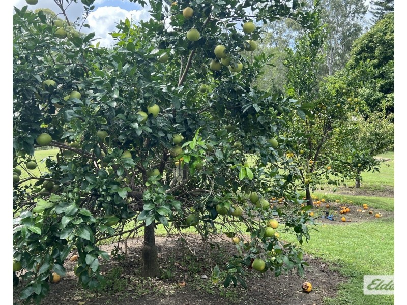 Glen Echo QLD 4570