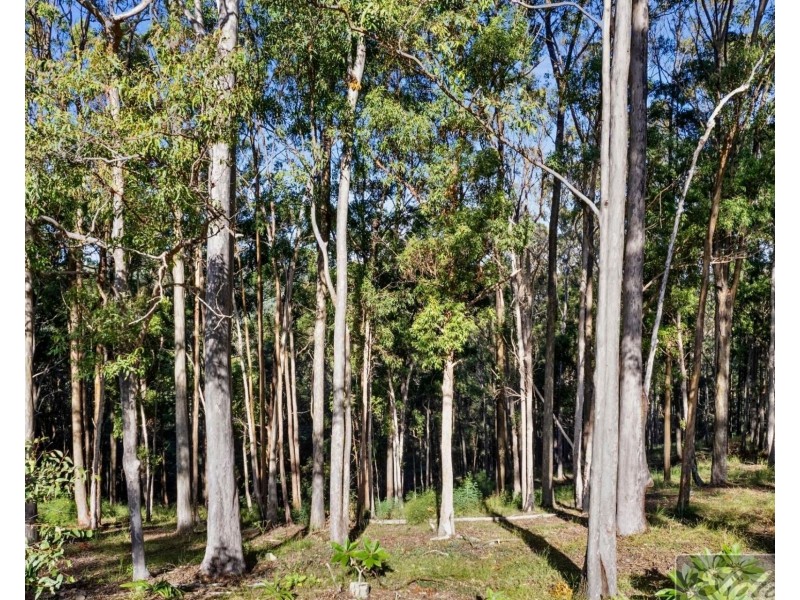 196 Goodyear Road, Cedar Pocket QLD 4570