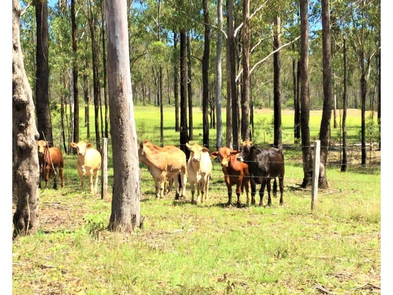 Lot 2 One Twenty-Nine Road, Glenbar QLD 4620