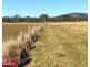 176 Pike Road, Woolooga QLD 4570