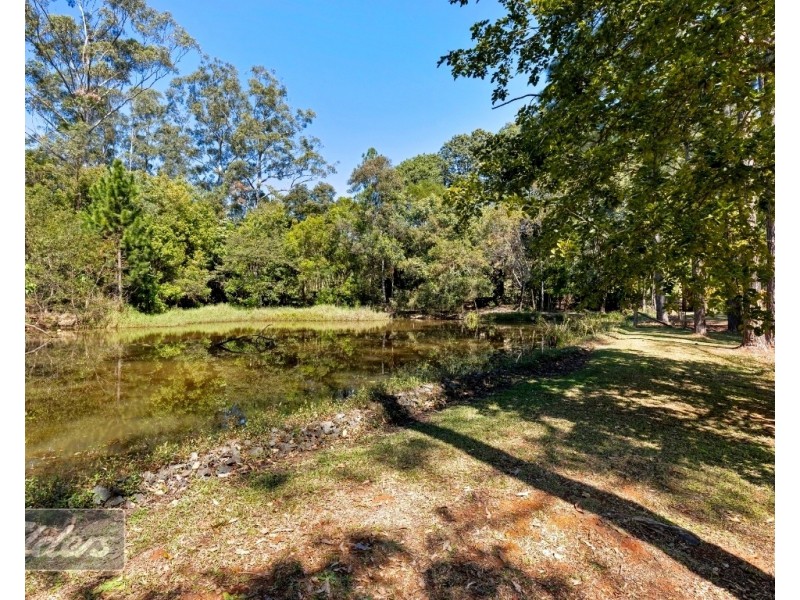 10 Ellora Court, Rosemount QLD 4560