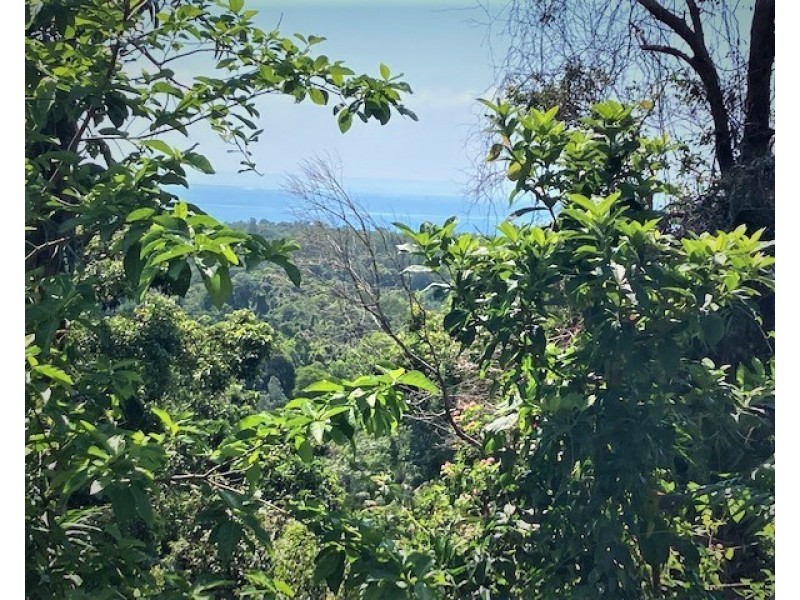 36 Mission Circle, Wongaling Beach QLD 4852