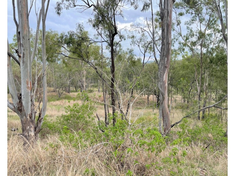 Lot 2 Blacksnake Road, Kilkivan QLD 4600