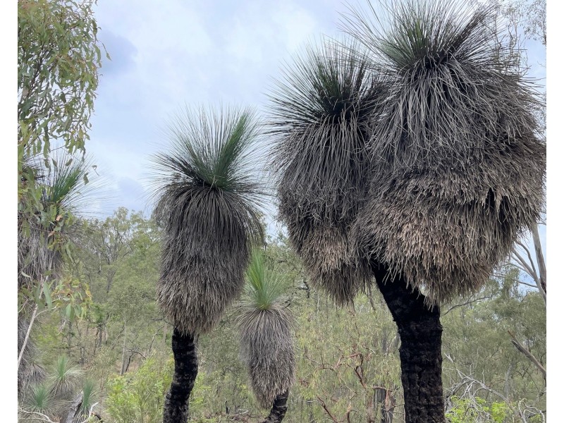 Lot 2 Blacksnake Road, Kilkivan QLD 4600