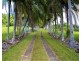 145 Hill Sixty Road, El Arish QLD 4855
