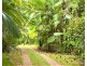 145 Hill Sixty Road, El Arish QLD 4855