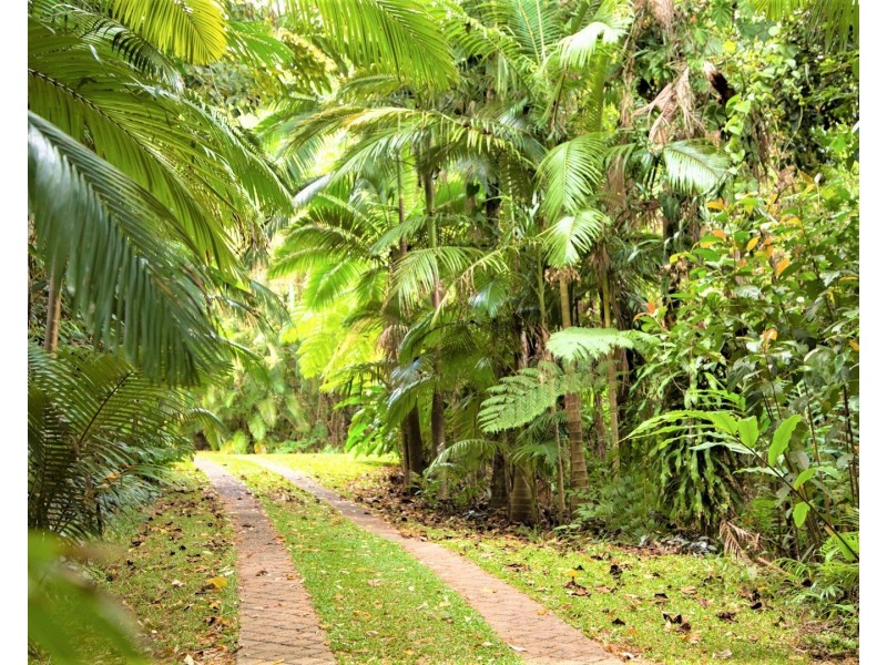 145 Hill Sixty Road, El Arish QLD 4855